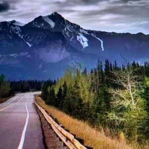 Meet your Posher, Yasmine